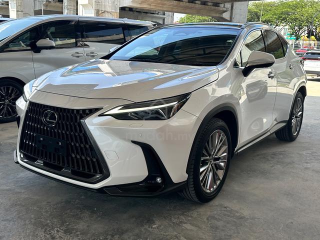 2023 Lexus NX 250 2.5 LUXURY (A) - 3