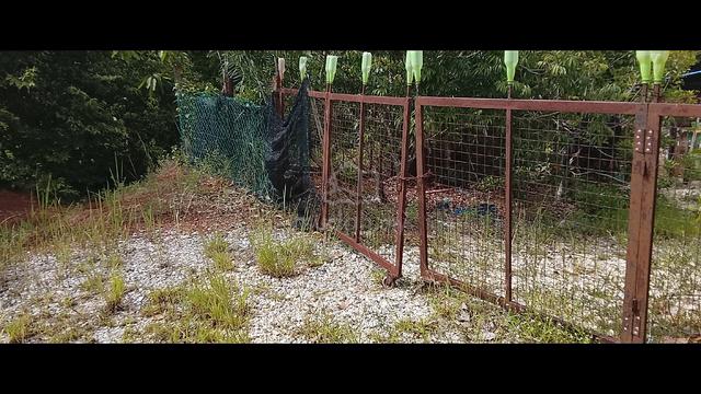 Tanah untuk dijual 1