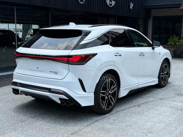 2024 Lexus RX350 2.4 F SPORT TRD Bodykit Muffler - 2