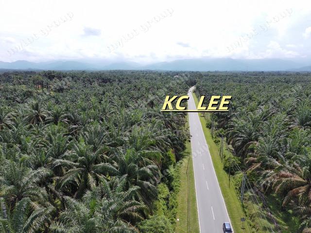 9.87 Acres Beside Main Road | Agricultural Land @ Selama , Perak 1