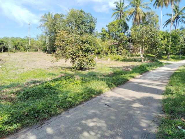 Tapak rumah Kg Bakong Parit panjang Geran 1nama 300 meter direct owner 2