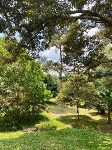 0.943 Ekar Tanah Dusun Durian Sg Merab Near Putrajaya 1