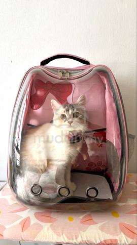 Carousel Image
