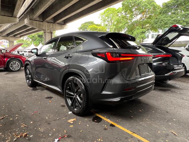 2023 Lexus NX250 2.5 LUXURY MY22 (A) - 2