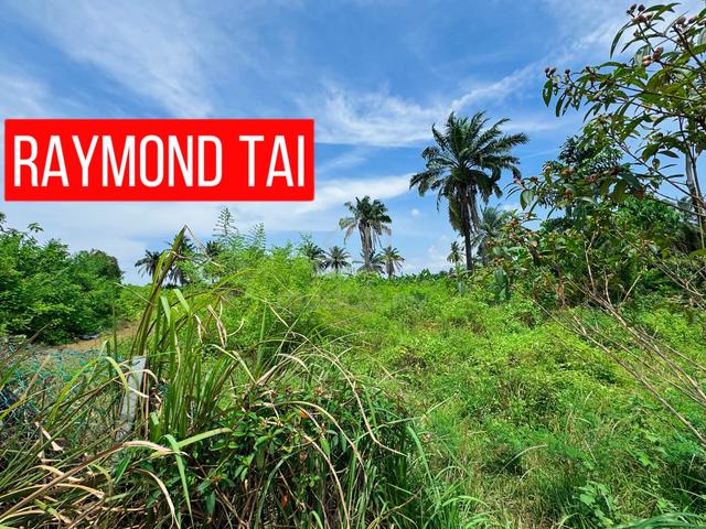 Bukit Mertajam Simpang Ampat 4 Arce Big Land For Rent 1