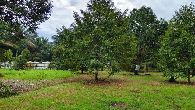 Pekan Nanas Agricultural Land For Sale 1