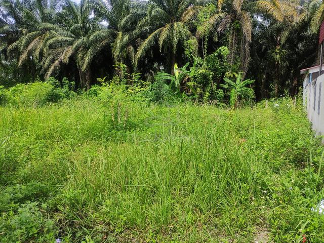 Tanah Lot Kediaman untuk dijual di RPT Kg. Veerasamy (Chemor), Perak 1