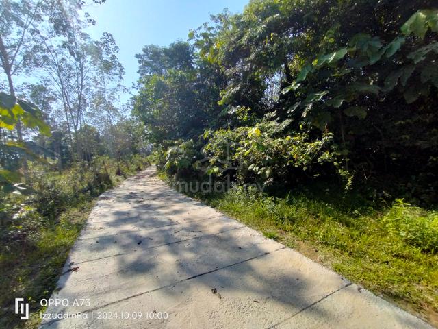 2 Ekar Rata Landai Lenggeng (KERETA+SESUAI KEBUN DUSUN+INFRA SENANG) 1