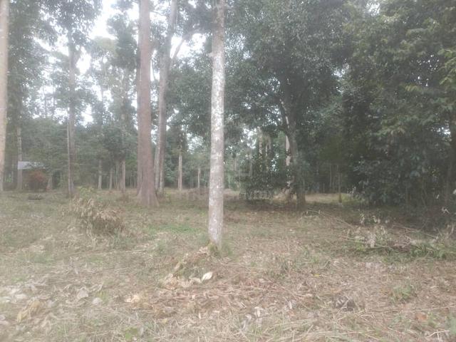 Tanah di Kg Bendang Ujib, Mukim Chegar Galah, Daerah Kuala Kangsar 1