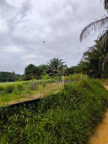 18 acres 300m Main Road facilities Kota Tinggi 1