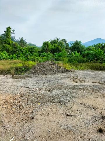 FOR SALE: Flat Land_Jalan Baharu Balik Pulau_1.75 Acre_Freehold 1