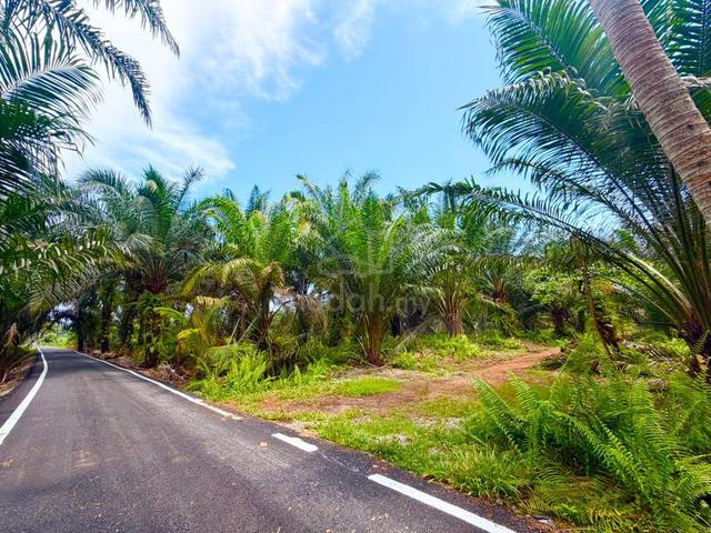Pontian Parit Sulaiman 4.2acre Oil Palm Agricultural Land Freehold 1