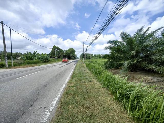 1.83 Acres Facing Mainroad Freehold Land Teloh Piai Kuala Selangor 1