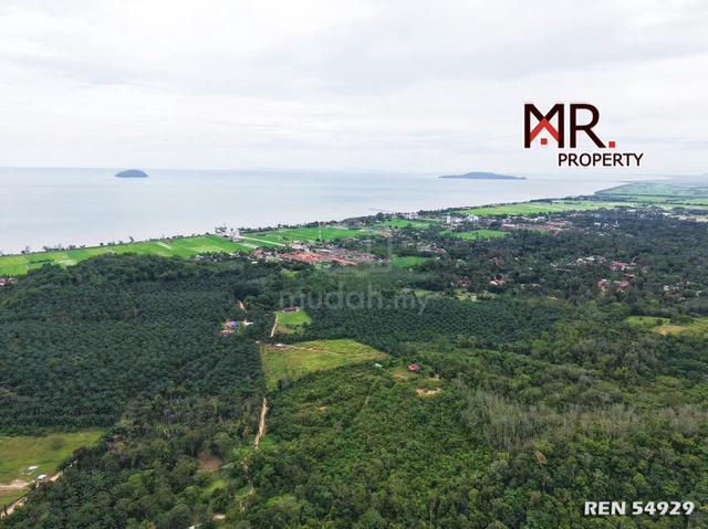 GOOD INVESTMENT Durian Farm Yan FOR SALE 1