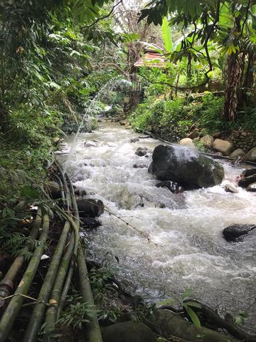 Tanah Kg Janda Baik Resort Chalet murah 1