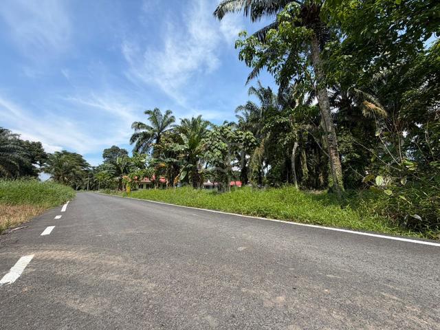 2.07 Acre Parit Sikom, Agriculture Land 1