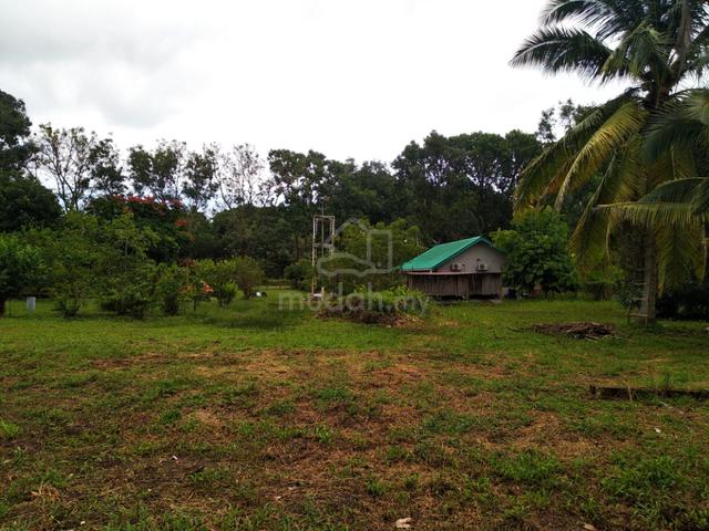 1.12 acres Orchard farm at Nusa Dusun Orchard Resort, Kuala Linggi 3