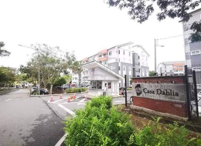 Casa Dahlia 1