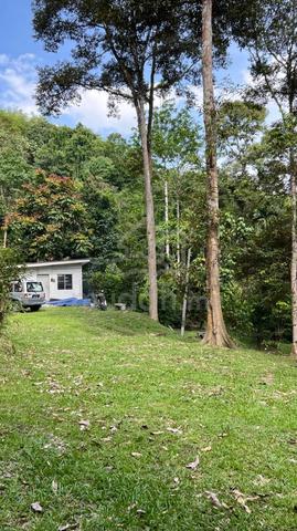 Tanah Kebun 3.749 Ekar Untuk Dijual Di Ulu Langat 1
