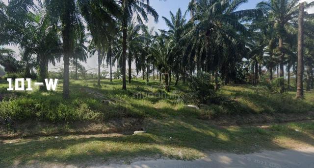 21acres Prime Location Freehold Zoning Medium Industrial Land Dengkil 3