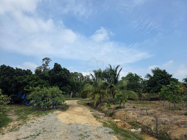 306 Acre Durian Farm in Selandar Jasin Melaka 1