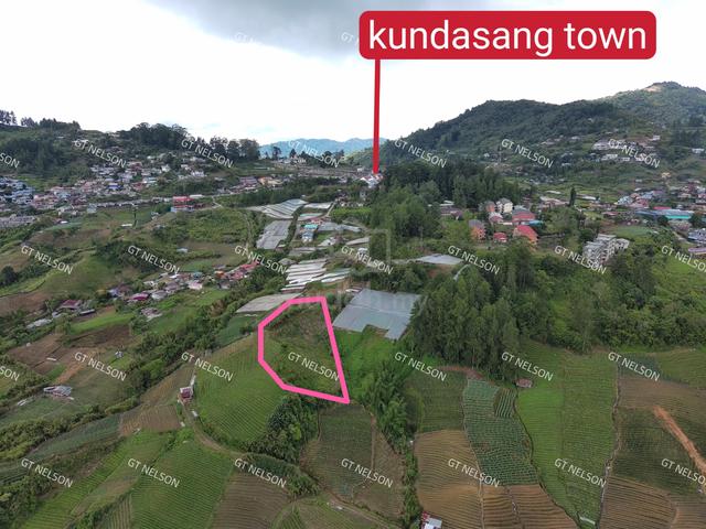 kundasang 0.8acre for sale 200k 4