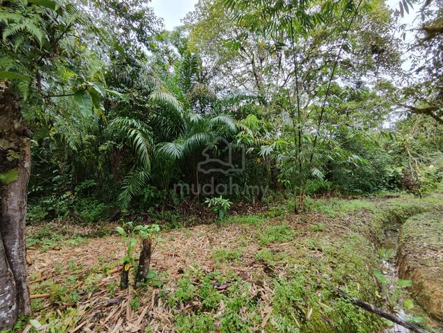 Bau Taiton Mixed Zone Residential Land For Future Investment 1