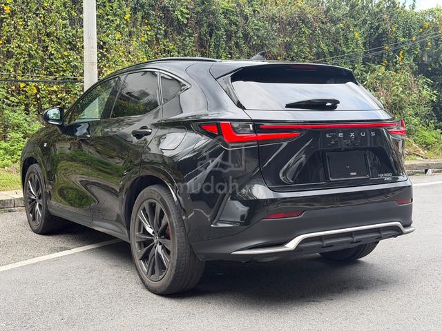 MARK LEVINSON BLKSEAT2022 Lexus NX 350 2.4 F SPORT - 4