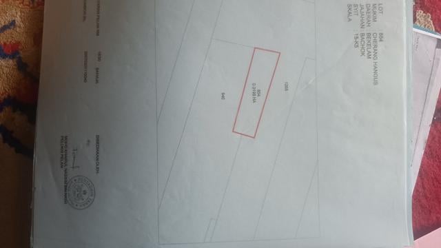 Tanah padi Bachok untuk dijual 1