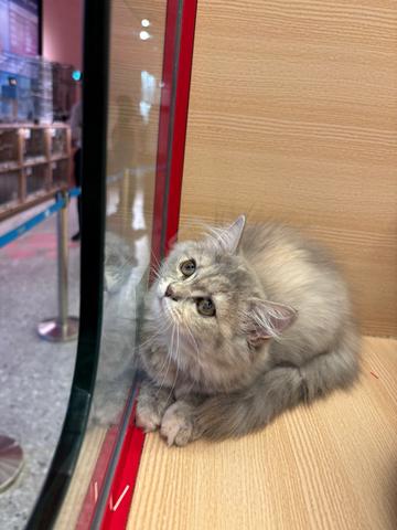 Carousel Image