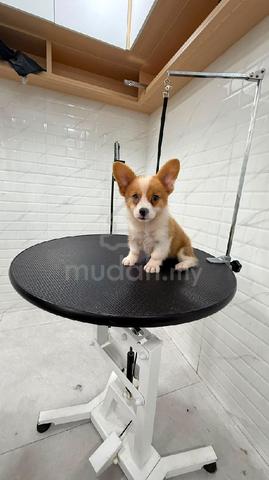 Carousel Image