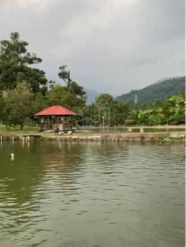 Broga Semenyih 4.7 acres Freehold Agriculture Land Mature Durian Tree 1