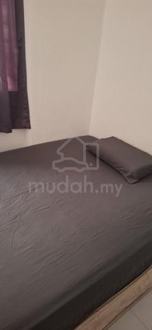 Male non smoker 1
