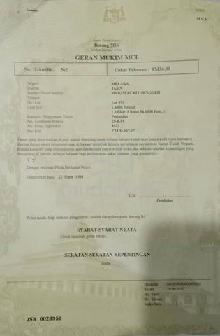 HOMESTAY Dan Ladang Kelapa Sawit UNTUK DIJUAL  1