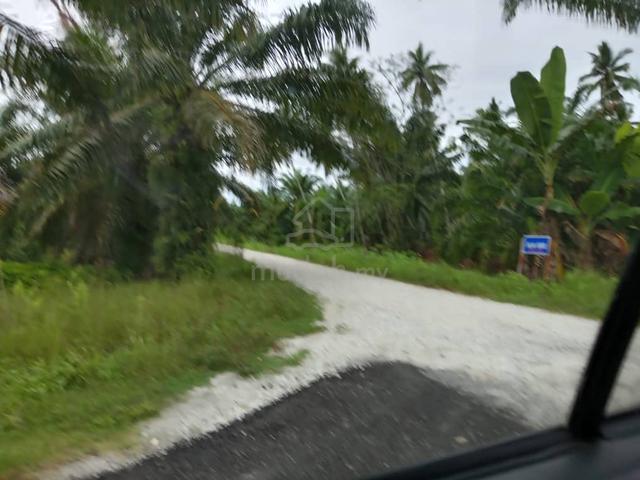 TANAH 3 EKAR HARGA TERENDAH di Kg tengah Sabak Bernam Selangor 4