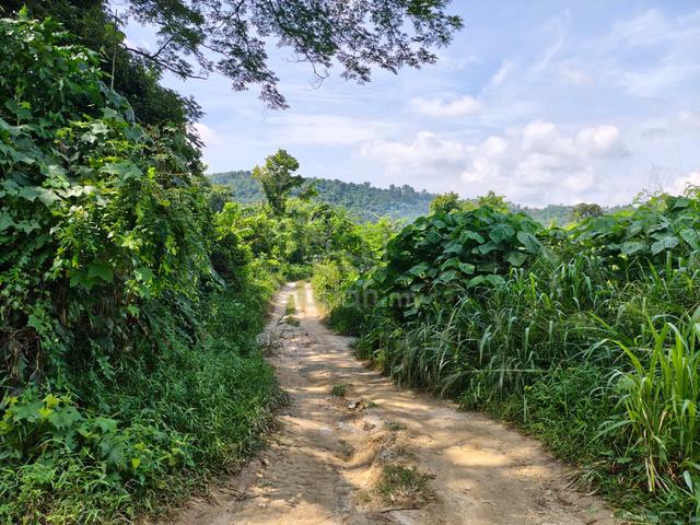 Land Freehold Taman Sentosa Bangi For Sale!! 1