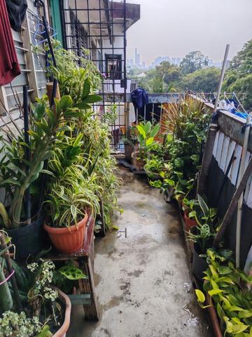 PKNS Seksyen 17 Petaling Jaya 1