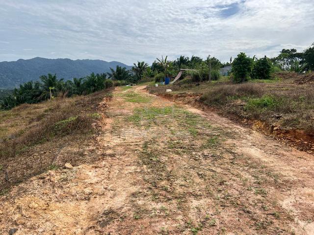 Multiple Agriculture Purpose Land (3 Acre) with Reserve Road for Sale 3