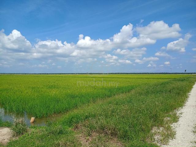 3 Ekar Sawit+3 Ekar Sawah+ Banglo Lot, GERAN Individu, Seberang Perak 1