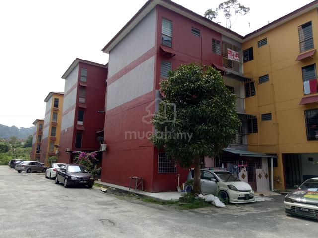 Nuri (Selayang) 1