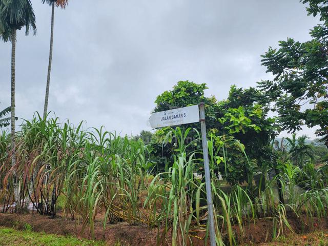 Tanah Tapak Rumah untuk dijual – Ulu Choh, Kulai, Johor 1