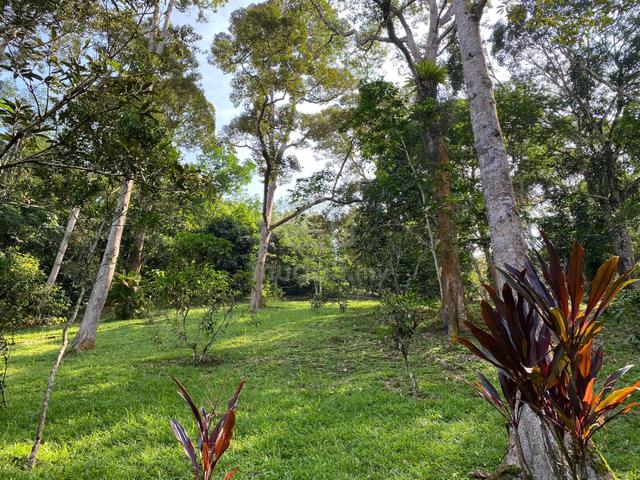 Freehold 3.9 Acres Agricultural Land Batu 17 Dusun Tua Hulu Langat 1