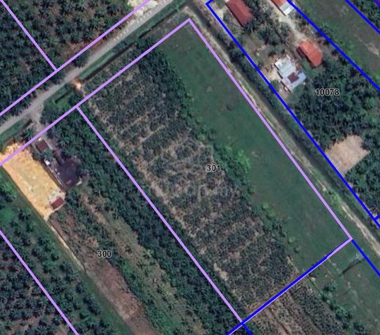 Tanah 2.5 ekar Kampung Sepintas Sabak Bernam 1