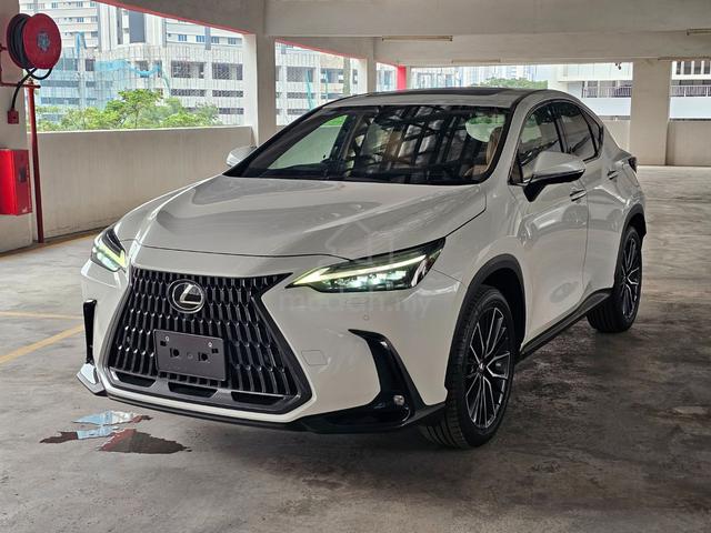 2023 Lexus NX250 2.5 LUXURY (A) WHITE COLOUR - 2