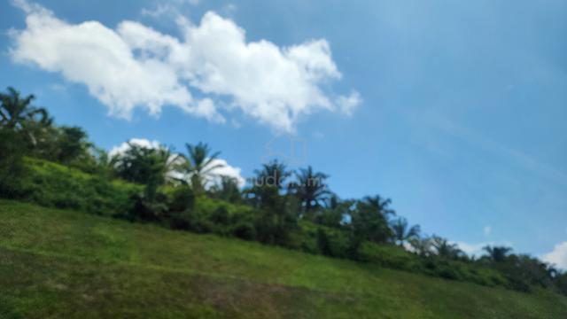 Banglo Lot for sale Jalan Kebun 1
