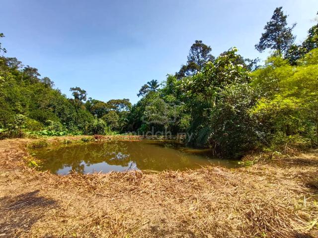 Tanah Dusun 2.3 Ekar  – Bukit Tamu, Batang Kali 2
