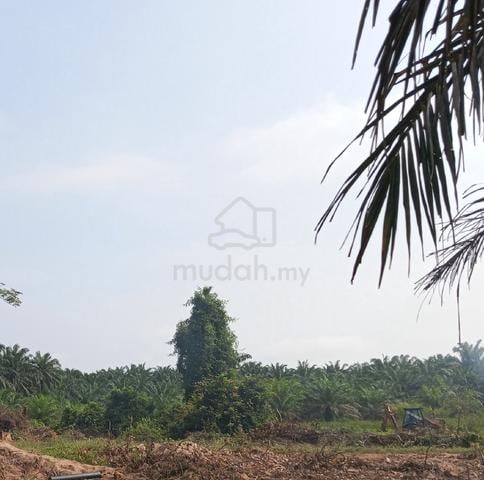Tanah Pertanian Kg Baris Simpang Pelangai untuk Dijual 1