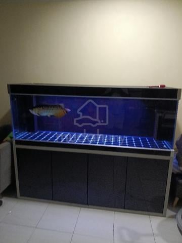 fish tank cristal  SEBO 6kaki ×2kaki - photo 3 of 3