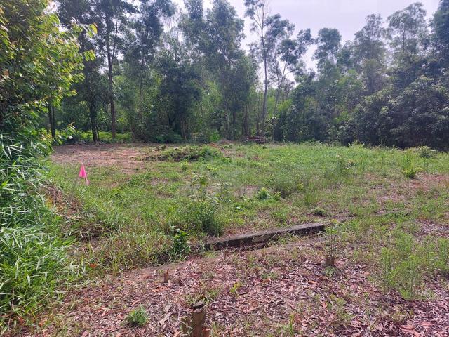 Hot Area [LOT BANGLO 6146sf] Bukit Damar CYBERJAYA 1