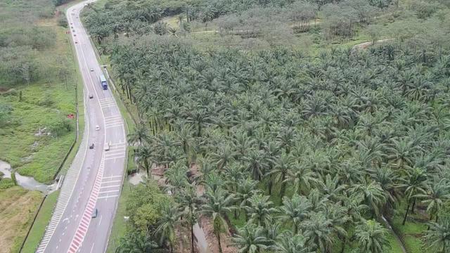 Development Land Zoned For Industry In Kota Tinggi 1